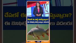 చేపలో ఈ పార్ట్ పారేస్తున్నారా.. బెనిఫిట్స్ తెలిస్తే వదలరు! #fishcurry #fishheadcurry #shorts