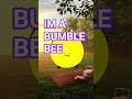 bumblebee #kfc #funny #bee