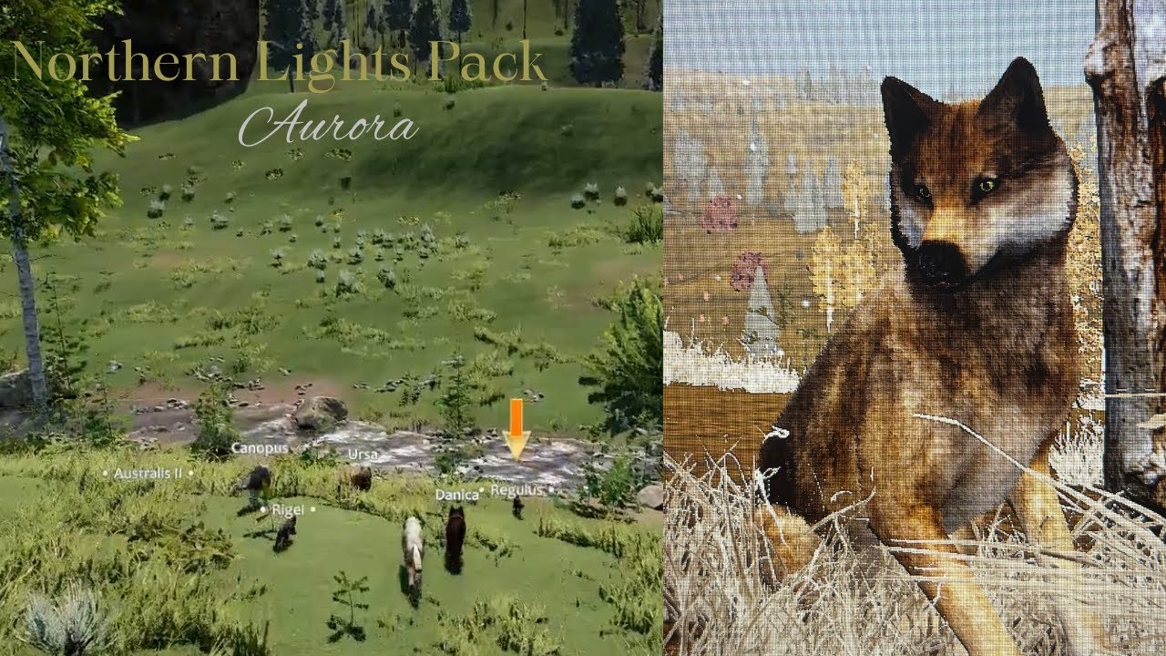 Northern Lights Pack - Aurora L6 - Raise Pups/Rendezvous [WolfQuest Saga]