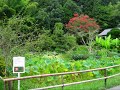 日本の風景　美しい平泉 ♪　世界文化遺産　中尊寺全貌のご案内