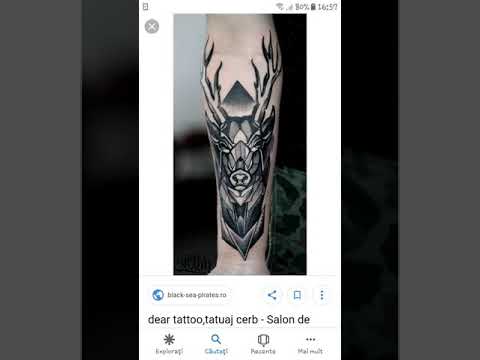 Florin Salam-Ma Cert