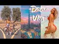 DUBAI TRAVEL VLOG // Jumeriah Beach, Desert, The Palm + more!