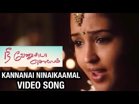 nee venunda chellam film song