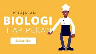 Urutan peredaran darah besar dan peredaran darah kecil