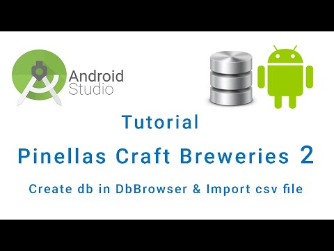 Pinellas Craft Breweries DB Browser for SQLite App Tutorial Part 2