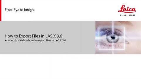 Leica LAS X: File Export (Widefield)