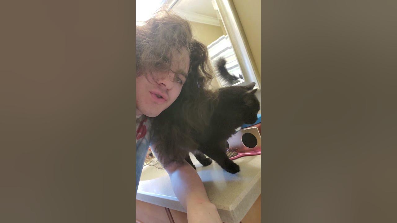 Stryker the cat purrs really loud!!! YouTube