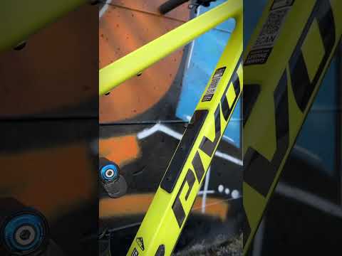 New Pivot Firebird