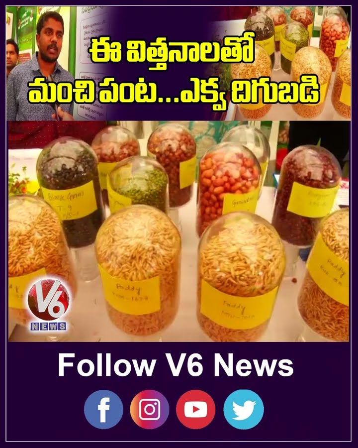 ఈ విత్తనాలతో మంచి పంట   ఎక్వ దిగుబడి | Agriculture | Farming | V6News