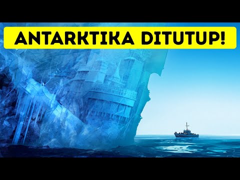 Video: Hiu kutub Greenland: deskripsi, fitur, dan fakta menarik