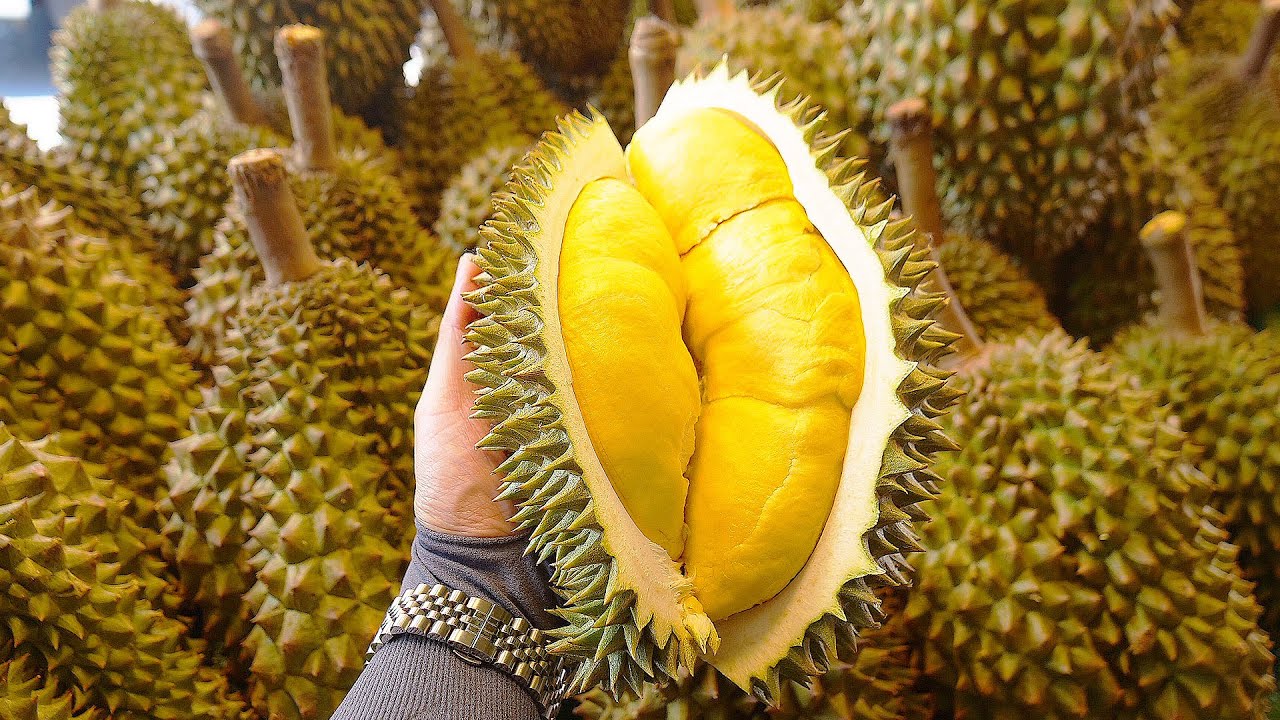 Amazing Ripe Durian Cutting Skills Master Collection - Thailand Street Food  - YouTube