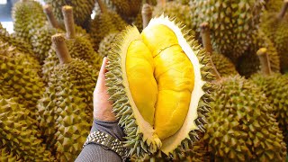 koleksi master keterampilan memotong durian matang yang luar biasa - makanan jalanan Thailand