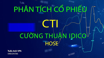 Cổ phiếu CTI : Phân tích - Định giá cổ phiếu Cường Thuận IDICO