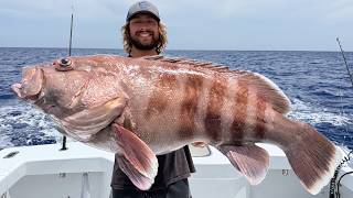 Dropping Bait Down in THOUSANDS of Feet of Water for HUGE Grouper! (Catch Clean Cook)