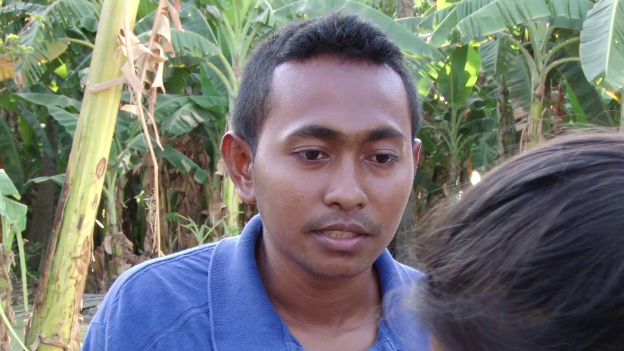 Telenovela   Uma Kompletu Timor Leste