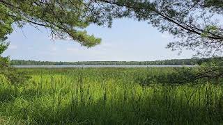 60 seconds of bliss on Boot Lake