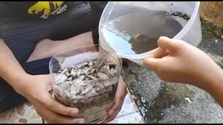 Diy Penapis Air Muhammad Amsyar