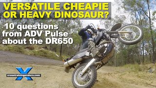 DR650 versatile cheapie or heavy dinosaur? 10 questions from ADV Pulse!Cross Training Adventure