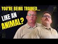 We're Here To Be Trained!