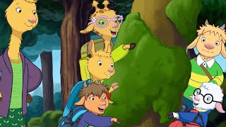 Celebrity The Five Senses! 🦙 Llama Llama 🦙 Profile