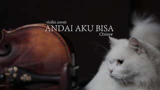 Andai Aku Bisa (Chrisye) | Violin Cover in B Maj | True moment of a cat and a violin