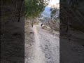 #trailrunning #mountainrunning #uphillrunning #fitness #stamina #workout #refreshment #nature