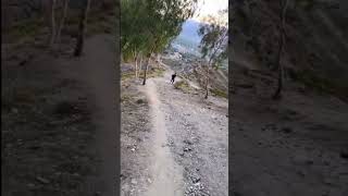 #trailrunning #mountainrunning #uphillrunning #fitness #stamina #workout #refreshment #nature