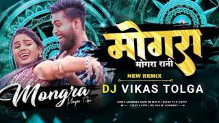 Mongra Rani !! मोंगरा रानी !! Yo Rudra Cg Song!! Dj Remix 2024!! Dj VIKAS TOLGA Ut 2024 Dj Raj Rd