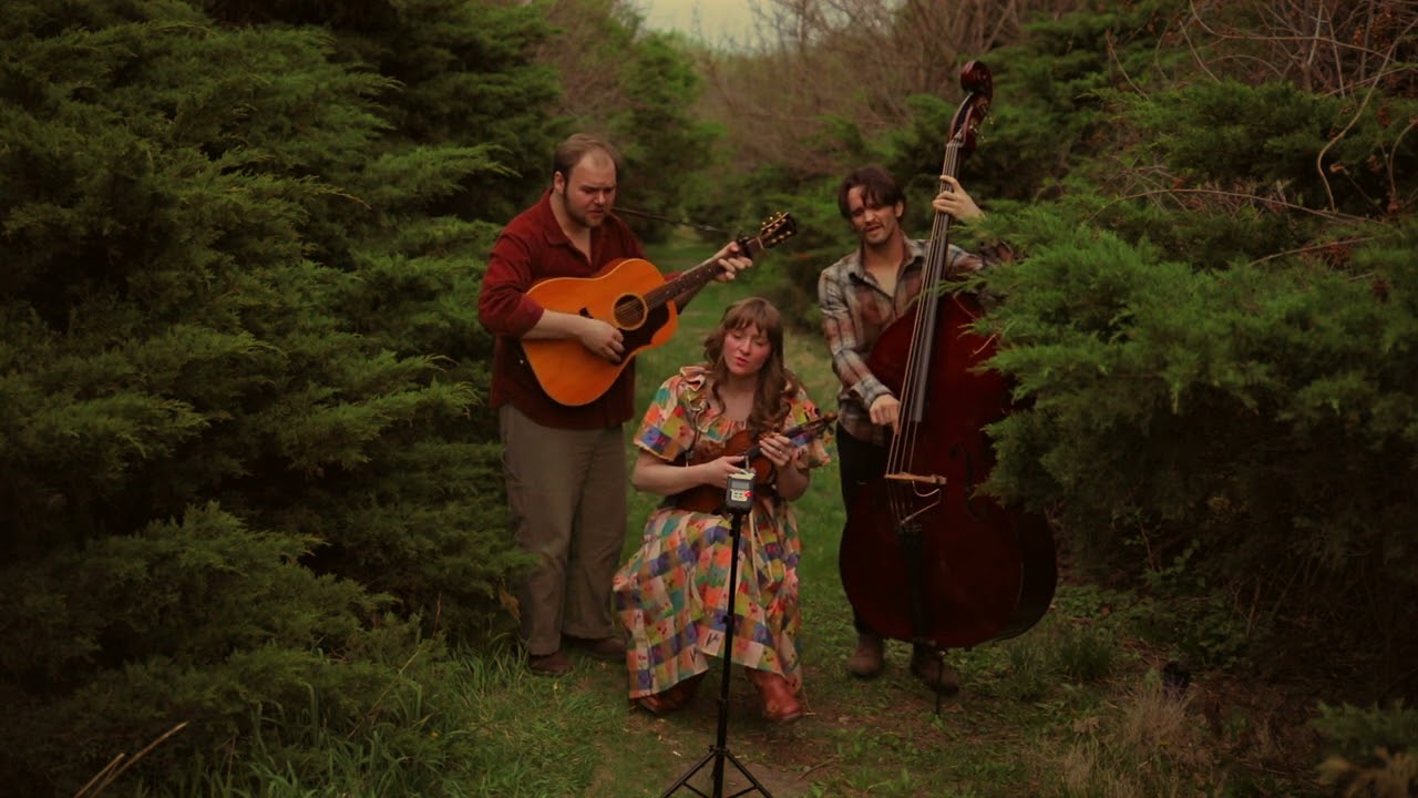 Our House - Crosby, Stills, Nash & Young (Cover)