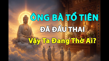 Nếu Tổ Tiên Đã Đầu Thai – Vậy Ta Đang Thờ Ai? | Lời Phật Dạy Về Thờ Cúng Và Hiếu Hạnh