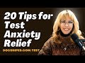 20 Tips for Test Anxiety Relief