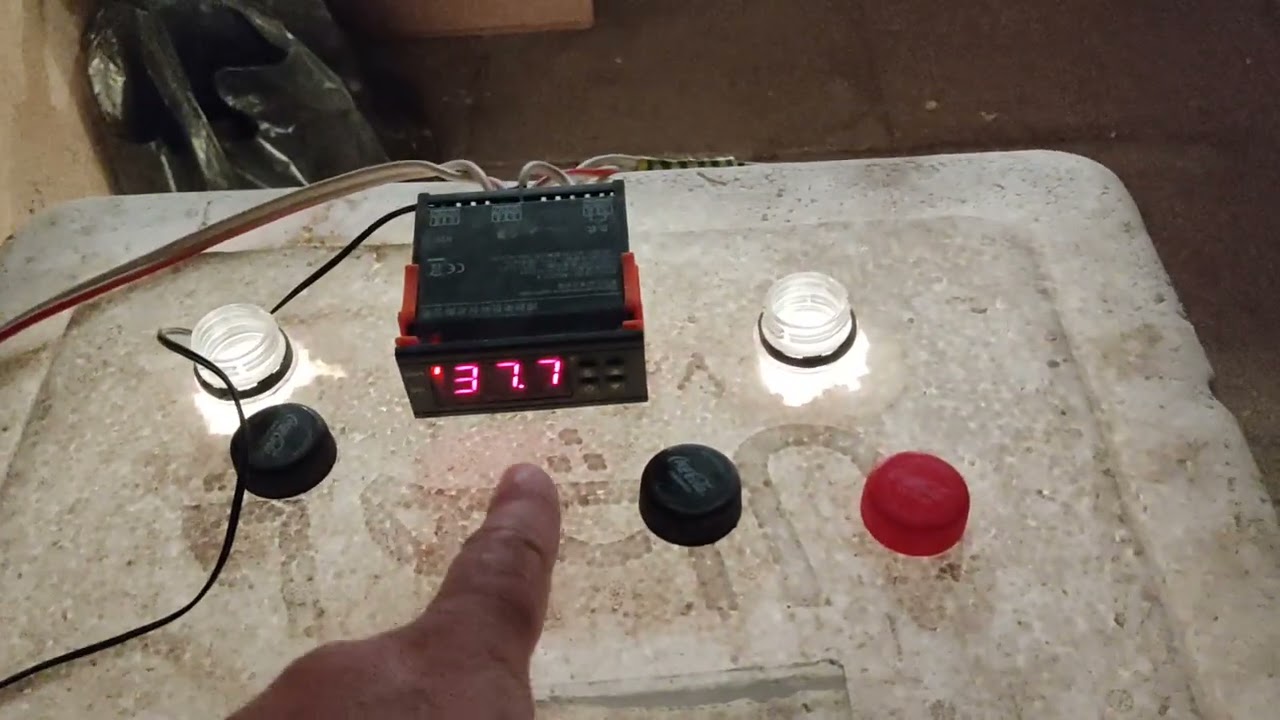 İnkubatorda yüksək çıxım səviyyəsi