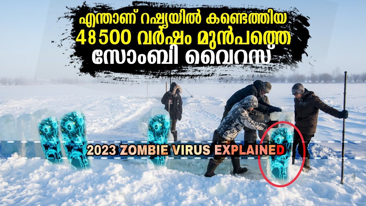 2023 zombie virus Zombie virus in syberia Explained Permafrost Virus