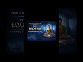 Lợi Ích Của Đạo Phật Trong Hiện Tại – Muốn Được Phải Học Và Hành | Phật Học Phổ Thông