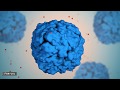 The Fascinating World of Proteins and Their Functions