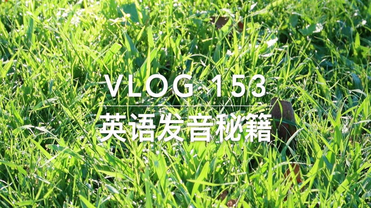 英语发音秘籍 新西兰harold Vlog 153 Youtube