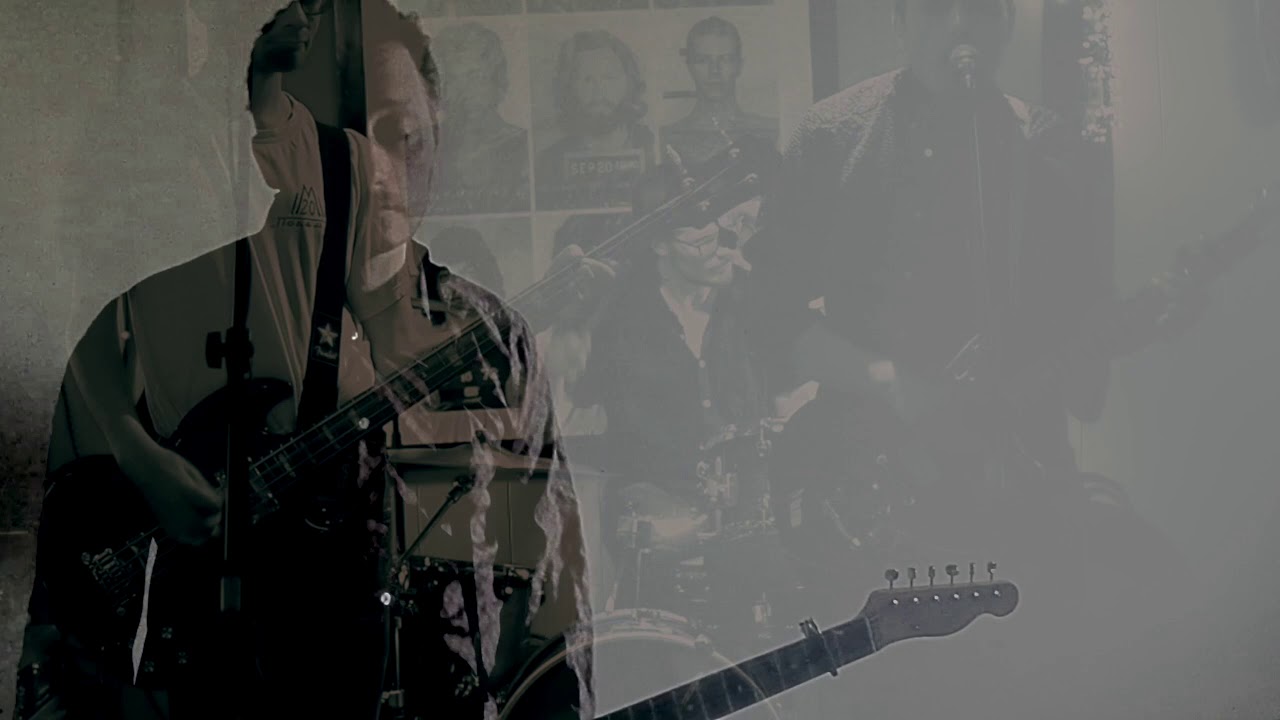 Watch Torrances-Plastic Animals on YouTube Watch Torrances-Plastic Animals on YouTube