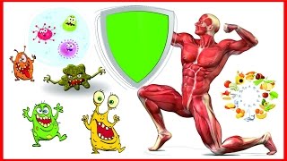 9 секретов хорошего иммунитета. 9 секретов хорошего иммунитета.