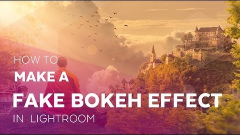 How to Make a Fake Bokeh Effect in Adobe Lightroom