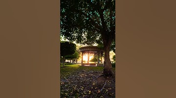 Thumbnail of Sunset Time ☀️#abudhabi #travel #sunset #nature #song #saaiyara #hindisong #shorts #love