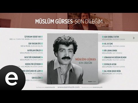 Aşkı Seninle Tattım (Müslüm Gürses) Official Audio #aşkıseninletattım #müslümgürses - Esen Müzik