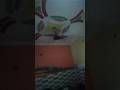 pankha chale to hawa deta hai #trend viral