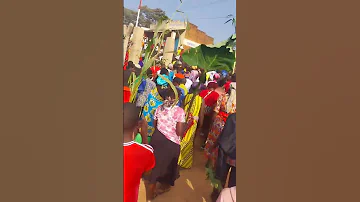Circumcision 2025 Hamisi Vihiga County 