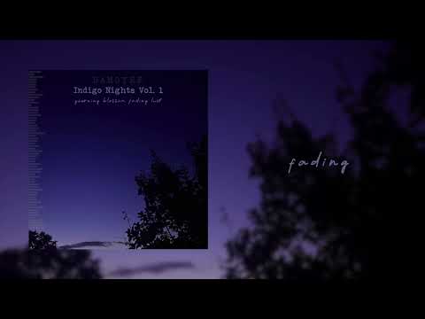 DAMOYEE - Indigo Nights Vol. 1 - fading (Visualizer)