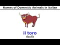 Italian Domestic Animals and Culture