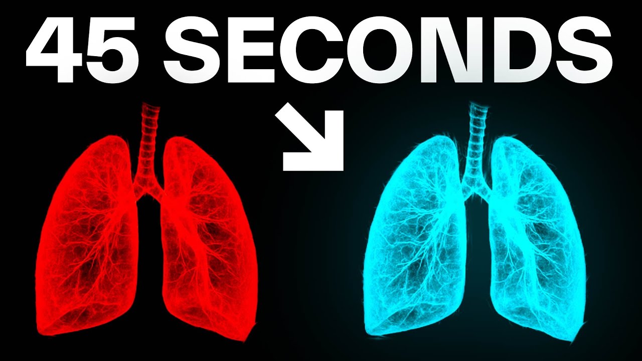 How To Quickly Rewire Your Nervous System From Stress to Flow