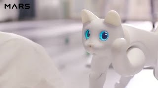 Top 5 futuristic Gadgets and toys | robotic cat |  A.I. pet