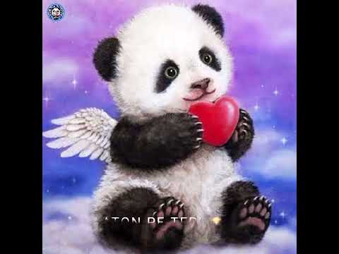 tag your love               #love #pandalover  #pandastatus #cute #song #music #feel