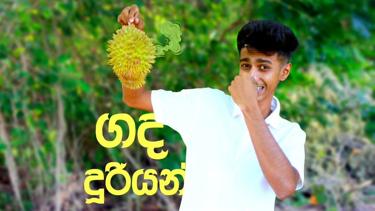 රජවරුත් කොර වෙන දූරියන් ජූස් 😲😲 | durian juice | #9 | @Pramod_Vlogz