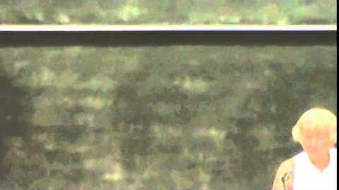 Eigenvalues and Eigenvectors: Numerics, Dynamics, Complexity